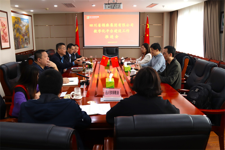 邓华主持召开集团公司数字化平台建设工作推进会